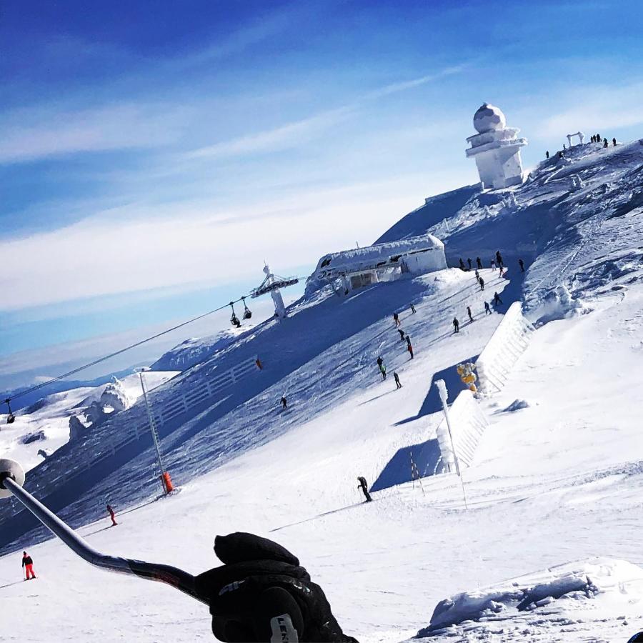Wolf Apartments Núi Núi Jahorina Ngoại thất bức ảnh